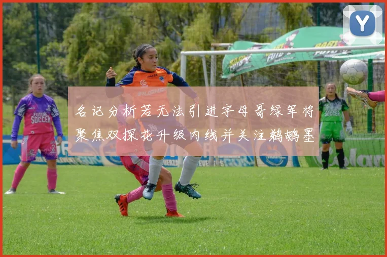 名记分析若无法引进字母哥绿军将聚焦双探花升级内线并关注鹈鹕墨菲
